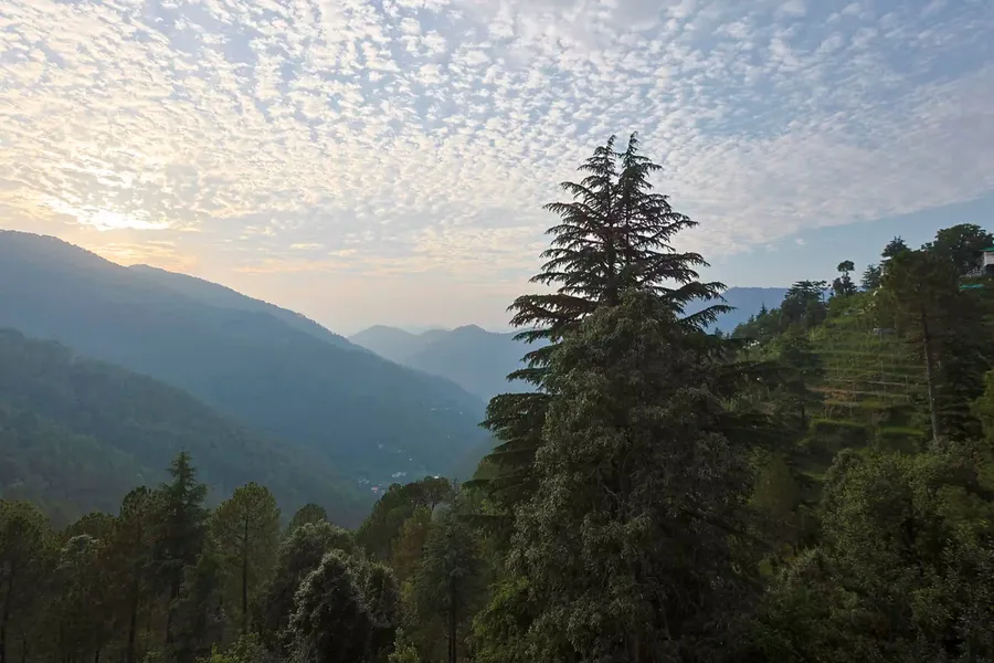 Unobstructed panoramic mountain view from Whispering Pines Resort Ramgarh Mukteshwar